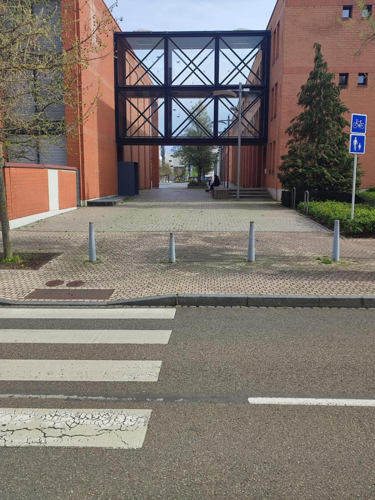Appartamento Douillet-Kanamappart-Euroairport Saint-Louis  Esterno foto